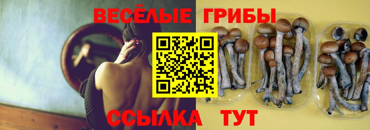 Амурск  Галлюциногенные грибы мухоморы  Галлюциногенные грибы ЛСД  Вход с VPN 